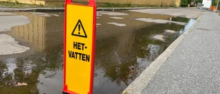Varmvatten fortsätter läcka vid Engelska parken • Täcker nästan hela vägen
