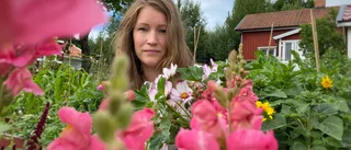 Odla själv – och unna dig lyxiga buketter varje dag ✓ Instagramodlaren Ann-Sofie Garcia: "Mycket mer för pengarna"