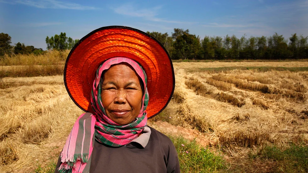 Risbonden Jumnong Sudnongbua vid sitt fält i byn Kambon i nordöstra Thailand. I området finns många småskaliga jordbruk – viktiga för matförsörjningen i regionen. Arkivbild.