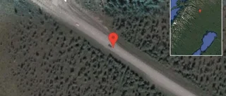 Fallna träd skapar problem i trafiken på E10