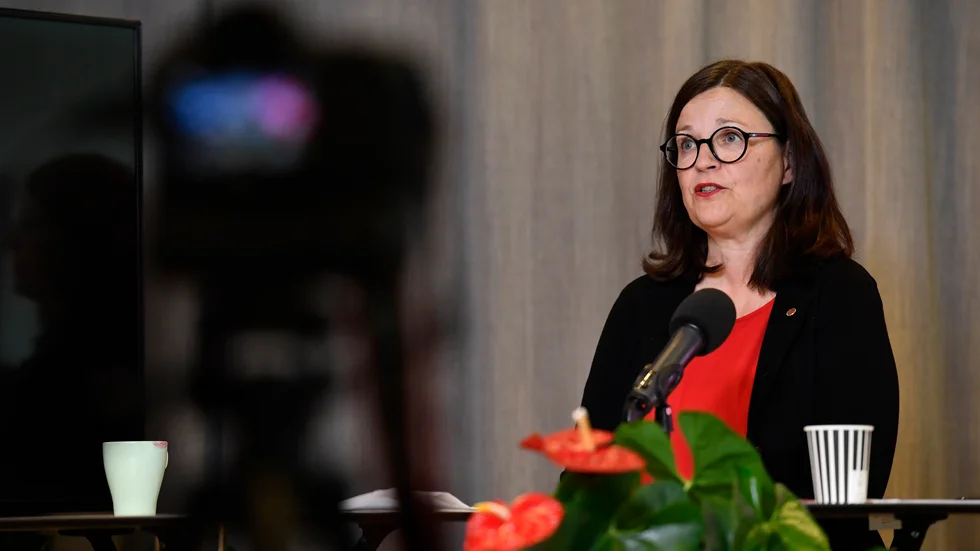 Utbildningsminister Anna Ekström (S) vill införa ett vinstförbud för friskolor. Det skulle få förödande konsekvenser, varnar flera friskoleföretag.