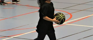 Nu lever basketen i Piteå igen: "Vi satsar på seriespel" 