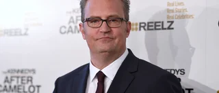 Matthew Perry skriver bok om "Vänner"