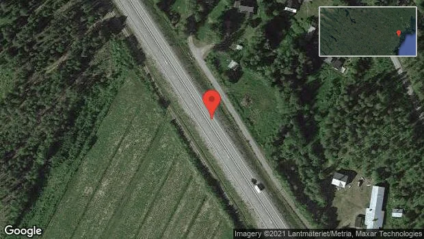 Rådjur på vägen på E4