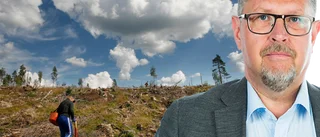 Det borde ligga i skogsnäringens eget intresse att göra upp med den här smutsiga byken