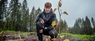 Marie har monsterväxten utanför husknuten – fruktade parksliden breder ut sig vid nybygge: "Fick panik"