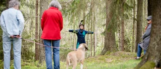 Minipublik bjöds på dans till skogens ljud: "Äntligen! Det har verkligen varit torka" 