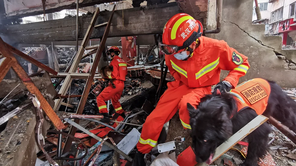 Räddningspersonal tog hjälp av hundar i sökandet efter överlevande efter explosionen.