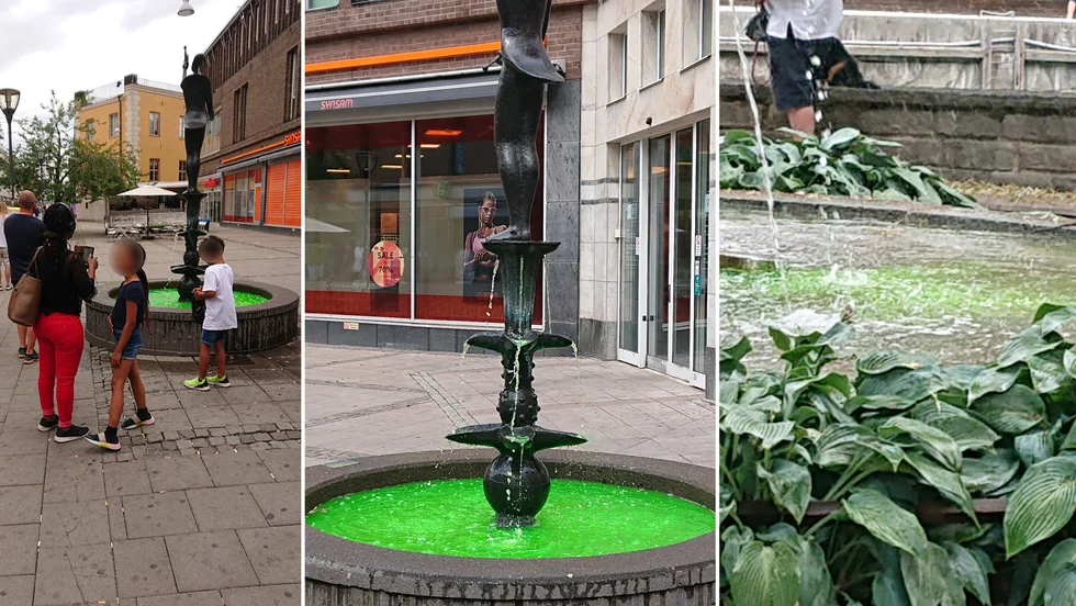 Flera fontäner färgades gröna i Uppsala i förra veckan.