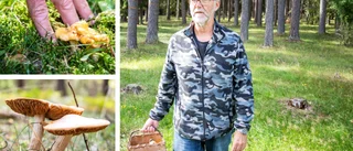 Åke ser mer fram mot hösten än mot sommaren: "Lär mig något hela tiden"