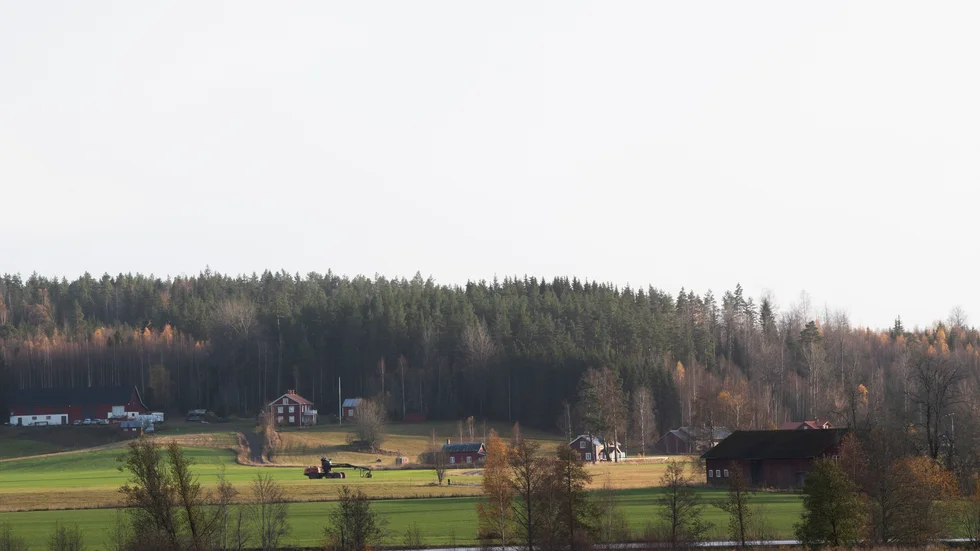 Menar politikerna allvar med viljan att satsa på landsbygden är det dags att de tar av sig cityglasögonen. 
