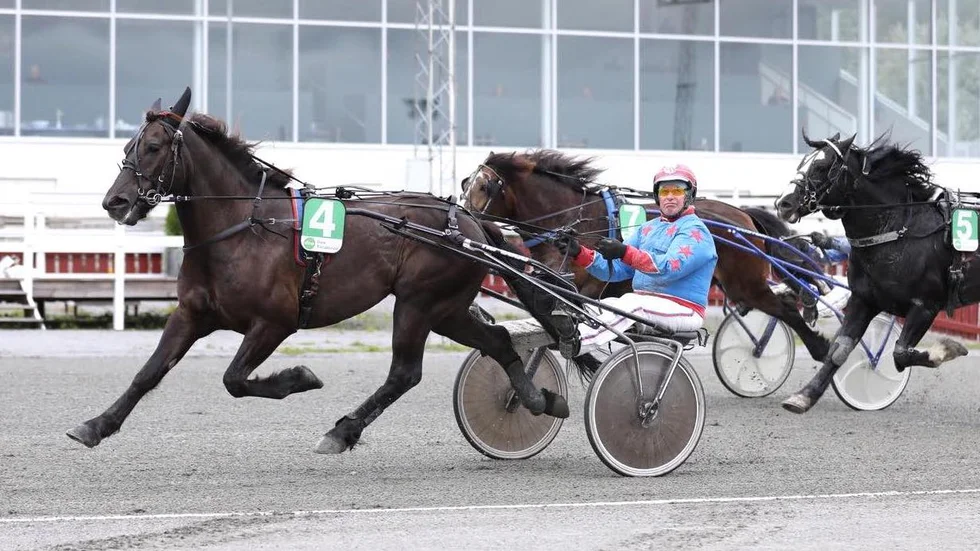 Sören Östman och Gomnes Birk svarade för en jätteskräll i V4–4 på Skellefteåtravet.