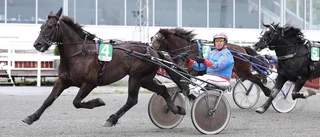 En jättesensation på Skellefteåtravet – segerkusken inte förvånad: ”Han har visat gryende form”