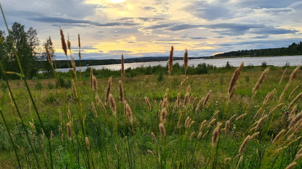 Lule älv i eftermiddagssol.