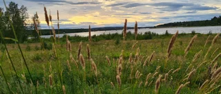 Läsarbilden: Sol över älven    