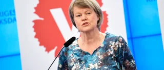 V plussar på 37 miljarder i vårbudget