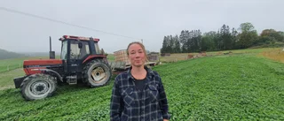 Olsson har fel om ekolantbruket