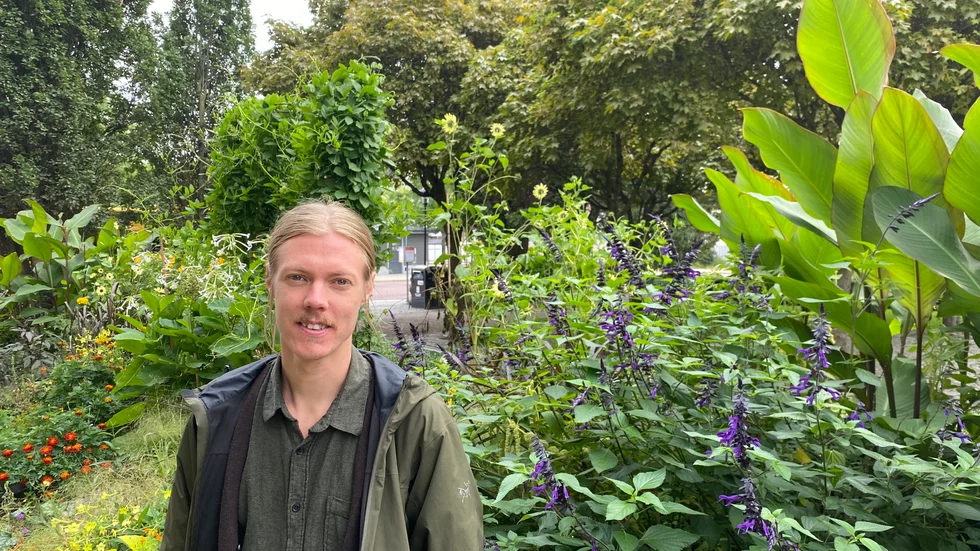 Joel Öhlund, ordförande för kulturföreningen Pepparroots som arrangerade lördagens festival.