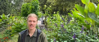 Kulturföreningens festival en succé: "Jätteroligt att se sån uppslutning"