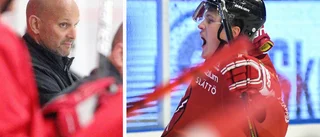 Hästen värvar ny center – på råd från förre målkungen