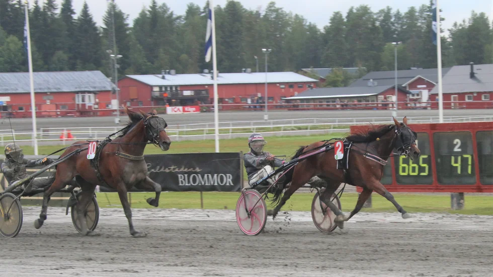 La Norna (Hanna Olofsson) höll undan för storfavoriten Swagger i V5-1 i Skellefteå