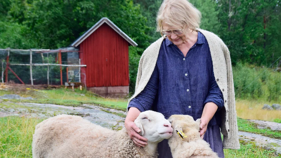 "Det är så här jag vill leva, på ett ställe där jag känner ro i själen och kan göra det jag tror på", säger Catharina Johansson Ek. Fåren som hon kelar med är pensionerade och det är ofta dem som först kommer hälsar besökarna till bodgalleriet välkomna. 