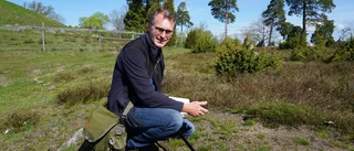 Bi-ståndsarbete ska rädda hotade arter