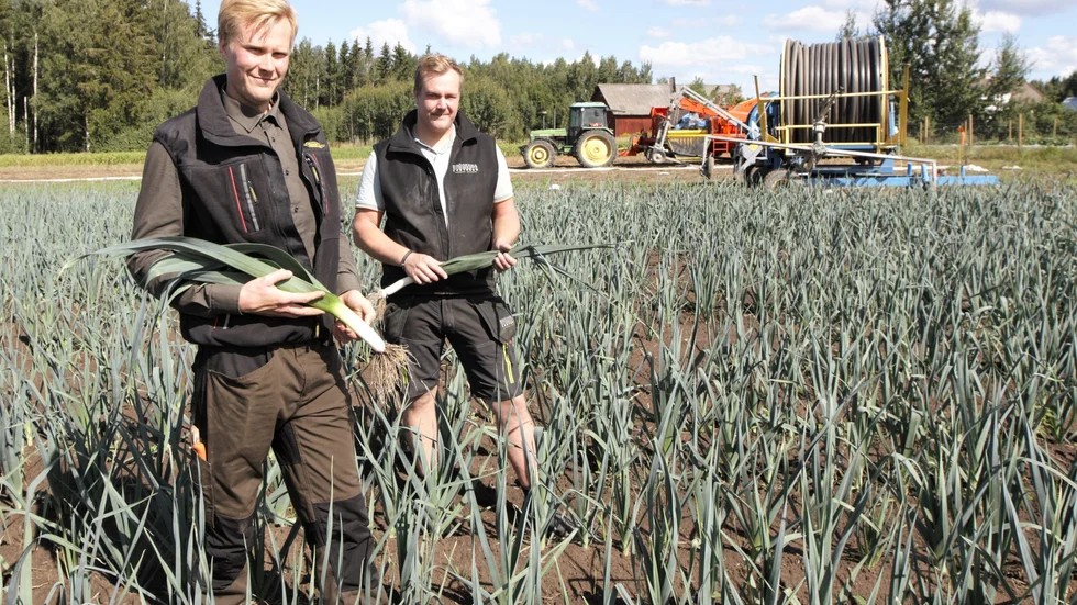 Martin och Simon Schwartz har alltid haft ett intresse för jordbruk. Redan när de var små barn brukade de följa med sin pappa ut på gärdena.