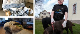Grillningen på Omberg blev en mardröm – Erik började brinna