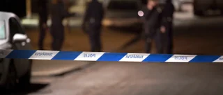 Skotthål i bil efter larm om bråk