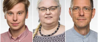 Ge inte upp tankarna på ett utvecklat konstmuseum