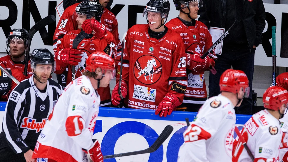 Hampus Andersson, hoppade in och spelade sex matcher för Vita Hästens allsvenska lag 2021-22, men kommer närmast från Brynäs.
