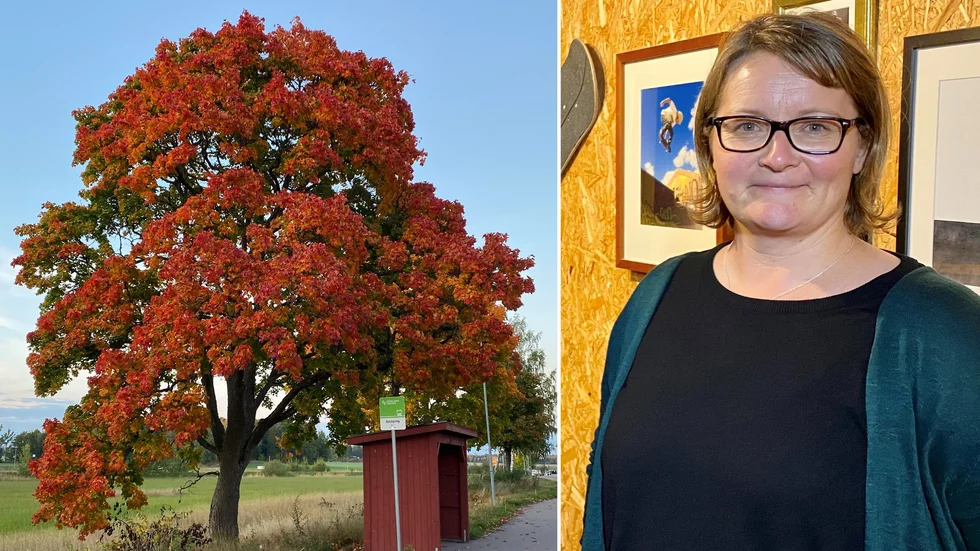 Carina Wising tog vinnarbilden i Sörmlandstrafikens tävling om finaste busshållplatsen. "Det är en lyx att få bo där det är så här vackert", säger hon.