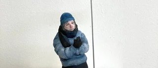 Konstalmanackan i Norrbotten    