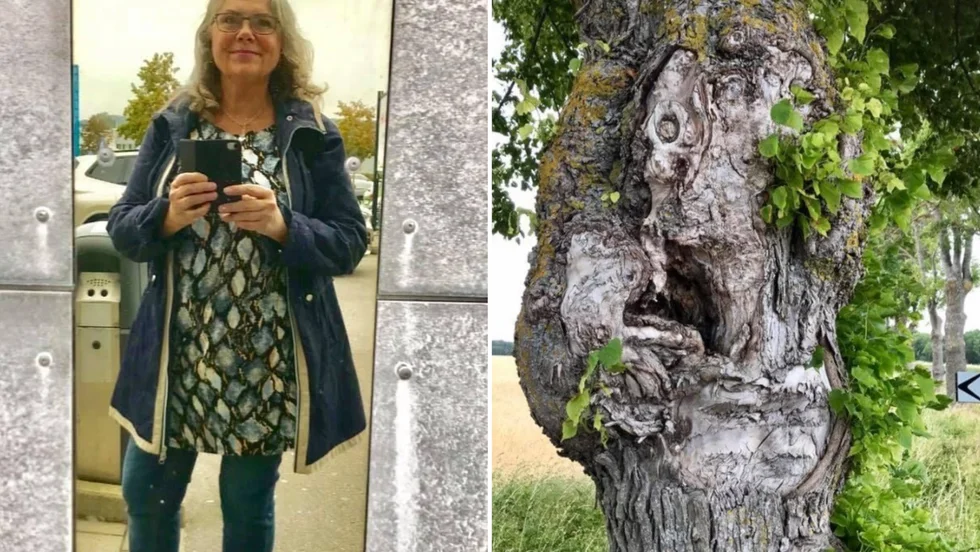 Elaine Axelsson fotograferade linden på Gotland som utsetts till öns knasigaste träd. Trädet finns vid Hallfreda i Follingbo.