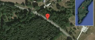 Fallna träd skapar problem i trafiken på väg 631