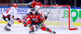 Boden Hockey förlänger med forwarden: "Magiskt"