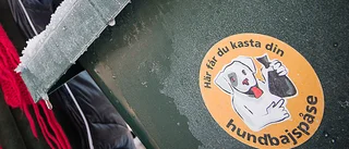 Plocka upp efter din hund!      