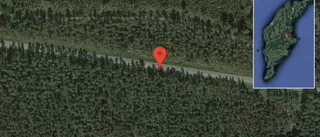 Fallna träd skapar problem i trafiken på väg 146