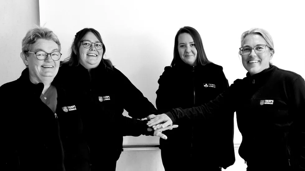 Hemtjänst östra inom Tierps kommun är en av åtta finalister i den nationella kompetensgalan i kategorin ”Årets team”. Här är 4 av 25 de som arbetar i verksamheten, från vänster: undersköterskan Monika Årman, administrativ assistenten Caroline Öhberg, undersköterskan och planeraren Sabina Andersson och fysioterapeuten Helena Söderlund.