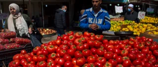 Färskvaruimport från Libanon stoppas