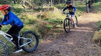 Populär sport i pandemins spår. Det var full fart på stigarna runt Ryssbergen när 80 MTB-cyklister körde Sörmlandsserien.