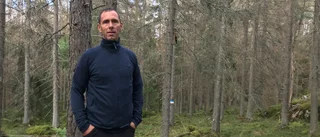 Granbarkborreangreppen: "Sannolikt mindre i år" 