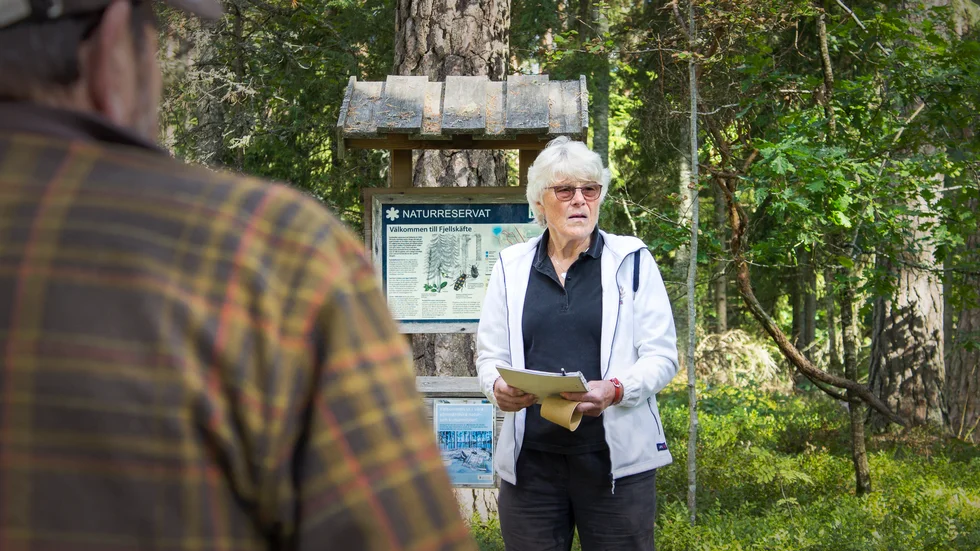 Skogsägaren Barbro Widholm undrar om länsstyrelsen inte ska sätta upp en varningsskylt, de angripna träden riskerar att falla när det blåser.