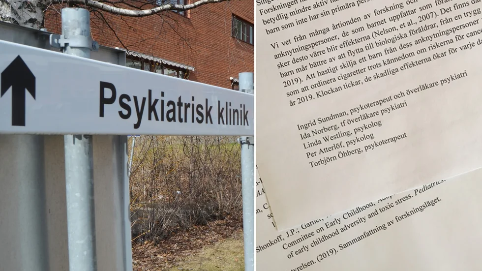 Psykoterapeut som deltog i möte mellan socialtjänst och familjehem häpnar över handläggarnas beteende. 