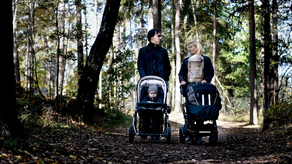 Miljöpartiet de gröna i Skellefteå har drivit på för att Vitberget ska bli ett naturreservat.