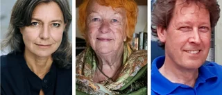 Skildring av Vadstenakonstnär inleder föreläsningsserie