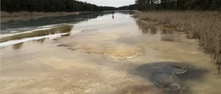 Stor fläck på skogssjö – men myndigheterna avfärdar