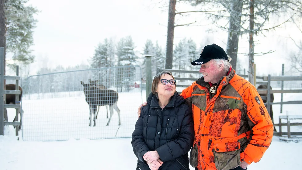 Under alla år har kärleken spirat på älgfarmen. Men efter att Inga-Lill blivit svårt sjuk gifte sig hon och Ola Rokka. 