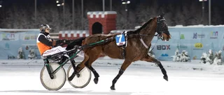 V65: Storfavoriten tillbaka som en vinnare – löftet har fått en flygande start i Skellefteå